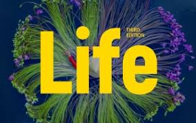 Portada Life 3E
